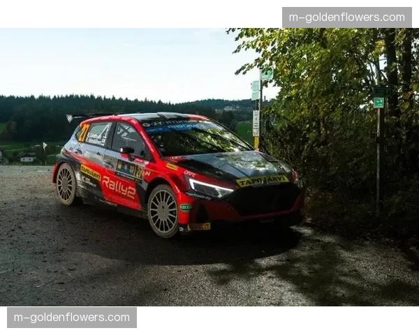 世界汽车拉力锦标赛瑞典站：现代车队诺伊维尔夺冠，丰田车队罗万佩拉亚军