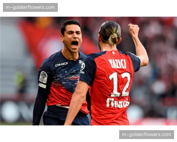 深度报道:法甲与非洲移动运营商的新合作,如何开拓撒哈拉以南的收视市场? 深度报道:法甲与非洲移动运营商的新合作,如何开拓撒哈拉以南的收视市场?